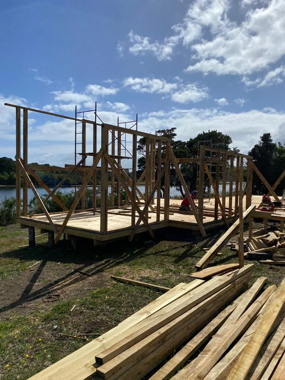 Casa Caipulli: proyecto
